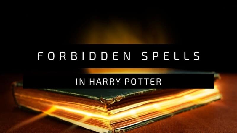 Harry Potter Forbidden Spells