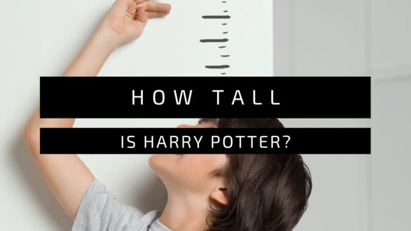 How Tall Is Harry Potter